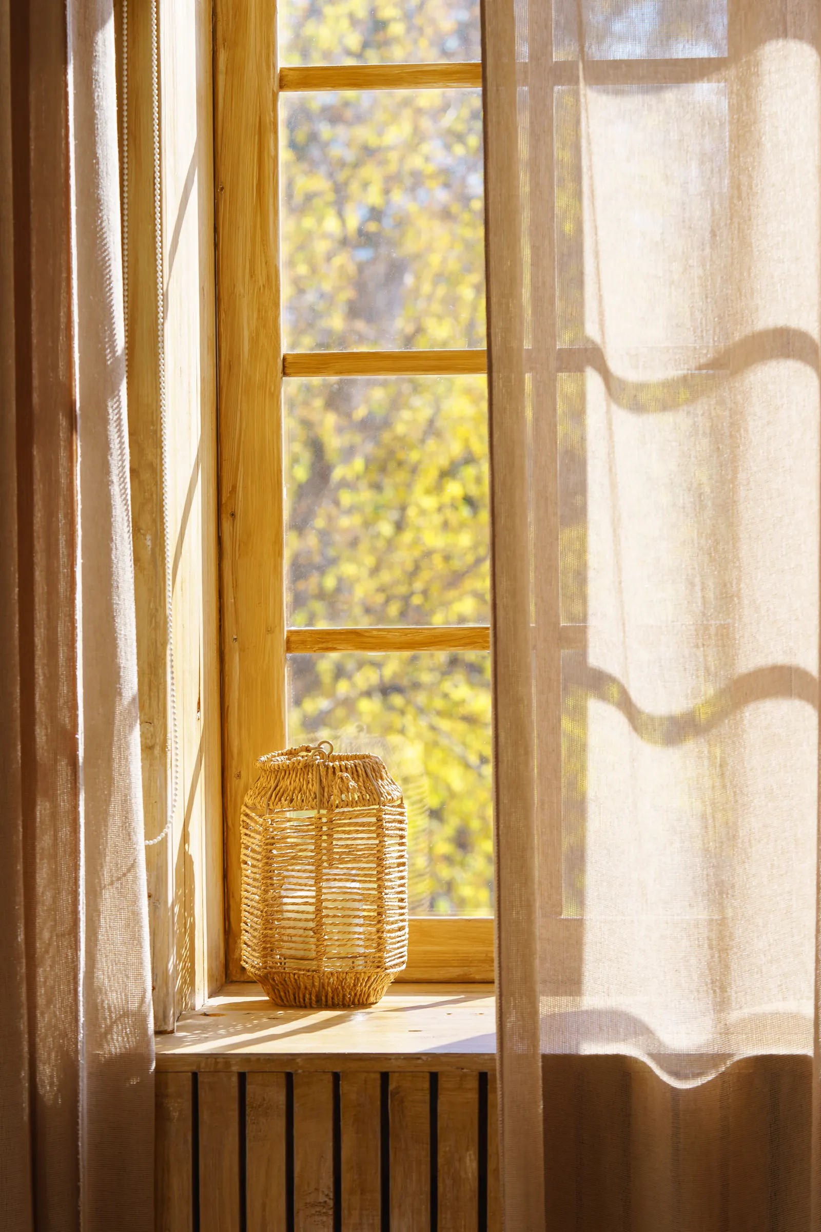 Soft morning light through a window
